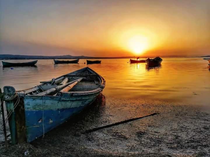 B&b Il Rifugio Del Lupo E6721