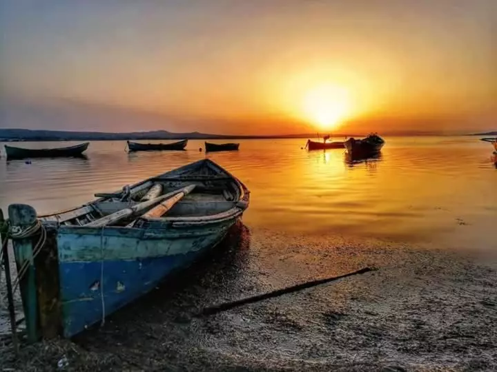 B&b Il Rifugio Del Lupo   E6721