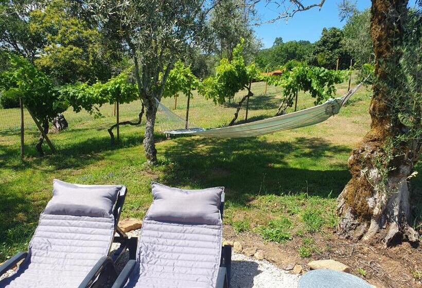 Bed And Breakfast Casa D Oliveiral Adults Only
