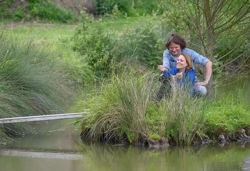 ベッドアンドブレックファースト Double Room On Farm