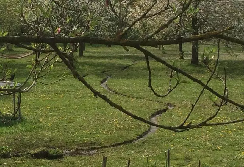 ベッドアンドブレックファースト Double Room On Farm