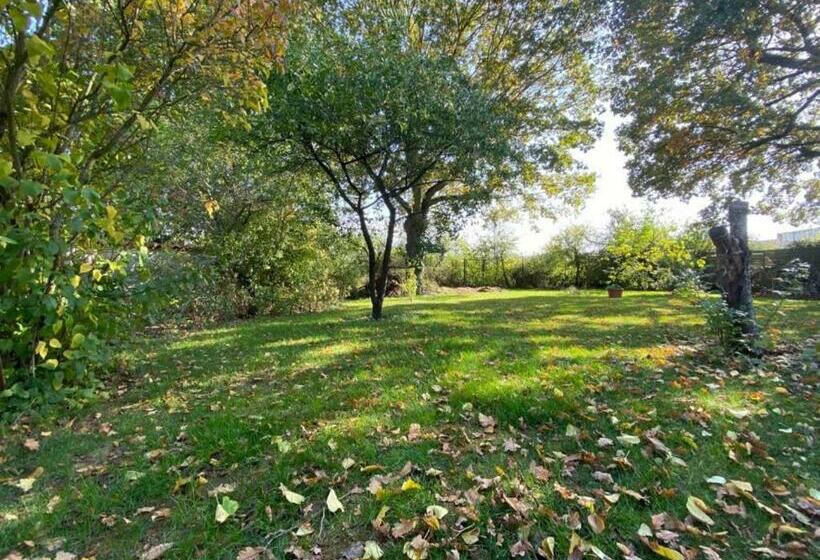 ベッドアンドブレックファースト Mirabelle