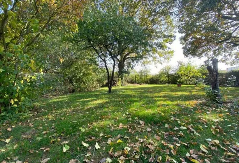 Aamiaismajoitus (B&B) Mirabelle