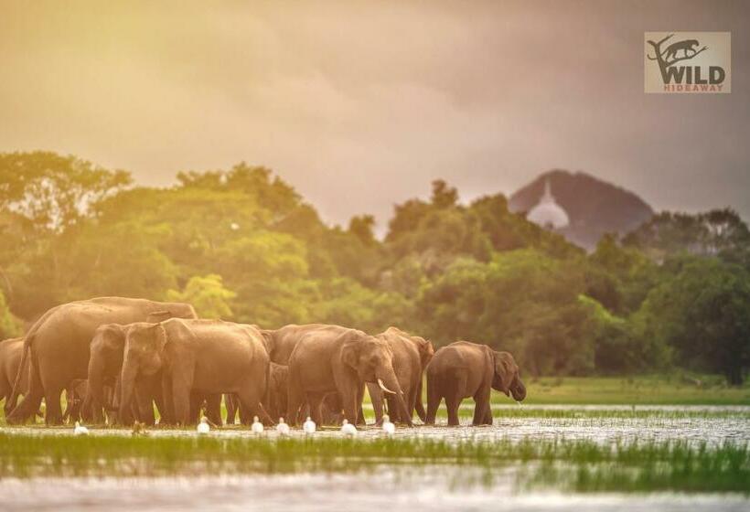 Hotel Wilpattu Wildhideaway