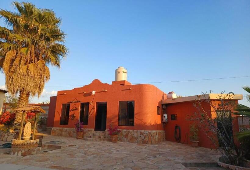 تختخواب و صبحانه Casona Dos Vidas