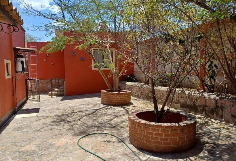 تختخواب و صبحانه Casona Dos Vidas