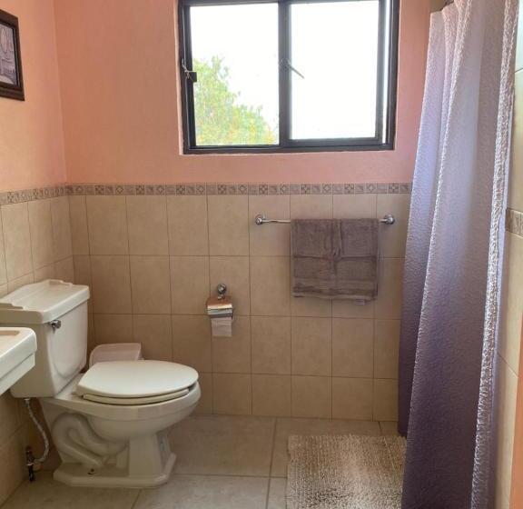 تختخواب و صبحانه Casona Dos Vidas