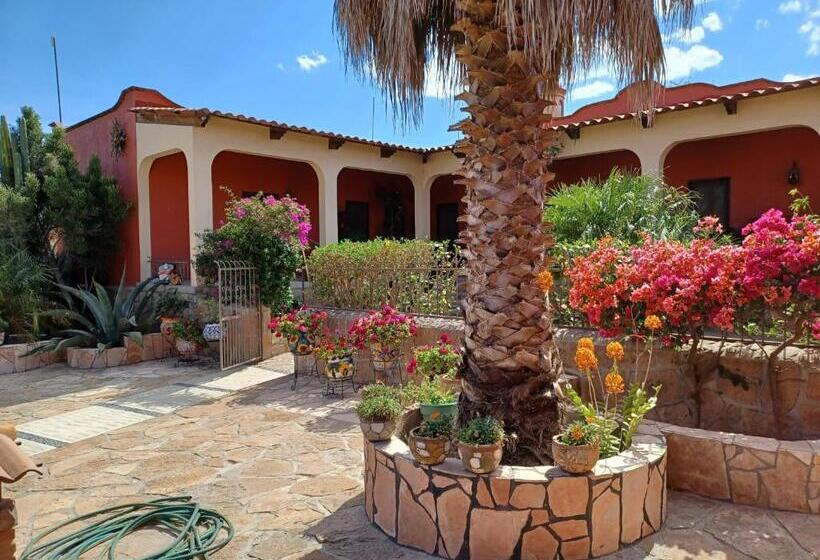 تختخواب و صبحانه Casona Dos Vidas