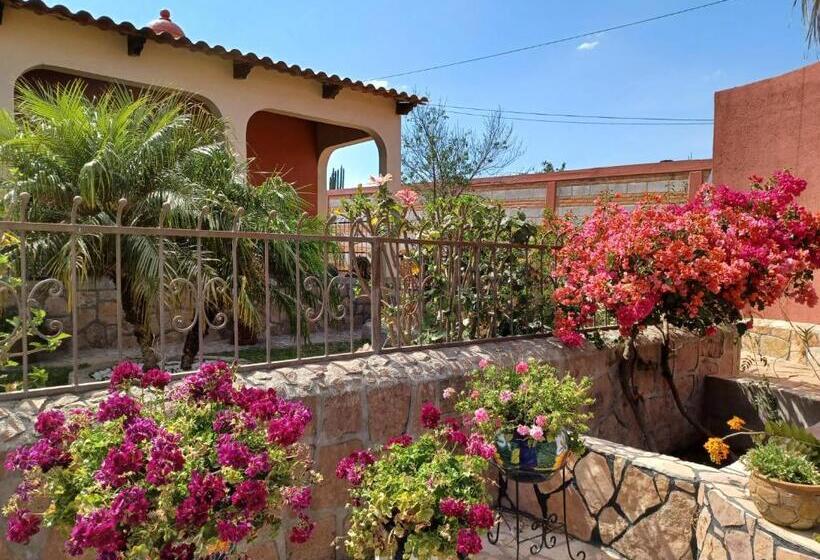 تختخواب و صبحانه Casona Dos Vidas