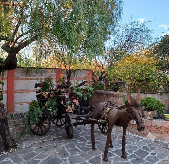 تختخواب و صبحانه Casona Dos Vidas