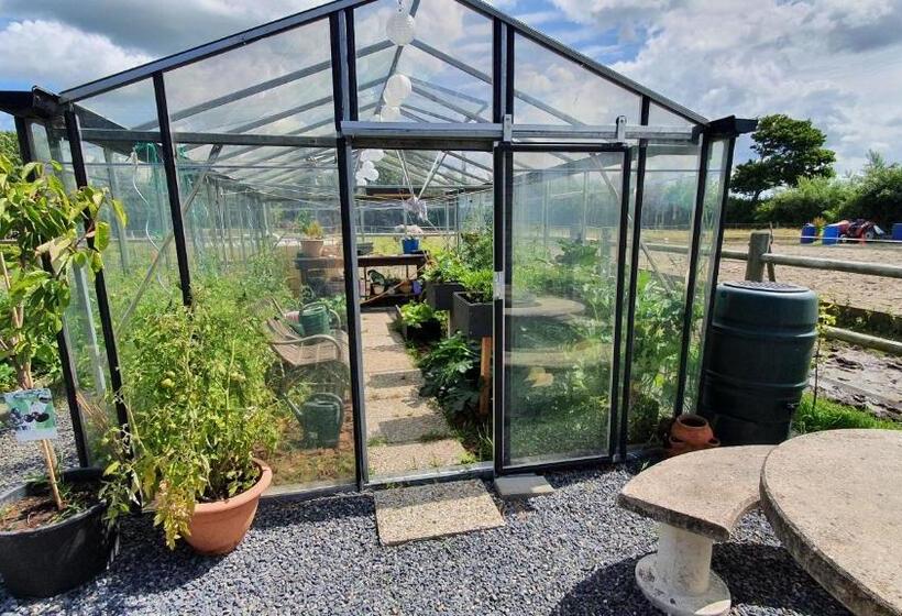 Bed and Breakfast De Stjelp