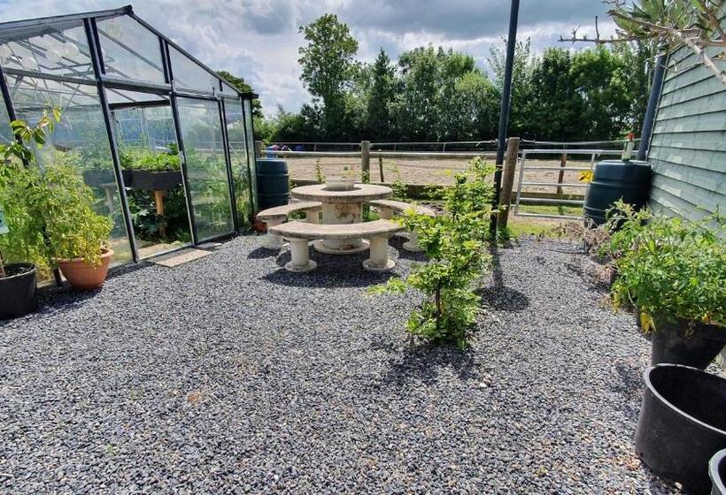 Bed and Breakfast De Stjelp