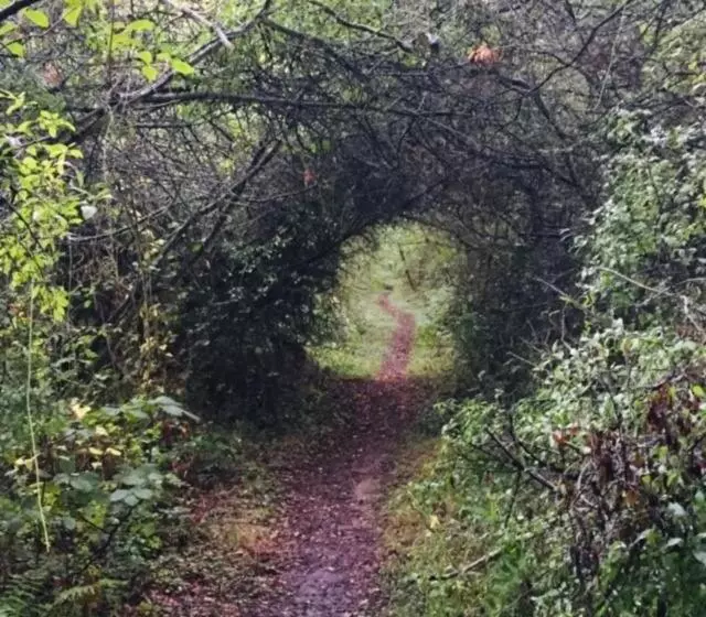 ベッドアンドブレックファースト Stone Cottage