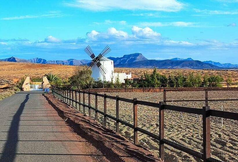 Finca El Molino B&b Fuerteventura