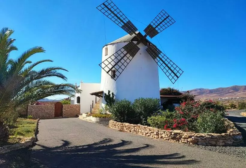 Finca El Molino B&b Fuerteventura
