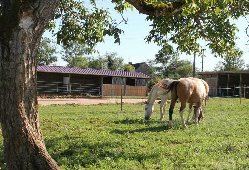 בית מלון כפרי Chezcaro26