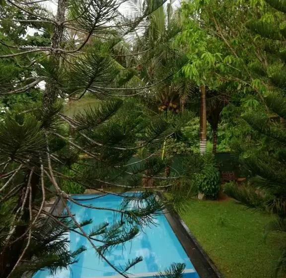 ペンション Casa Hikka Guest House