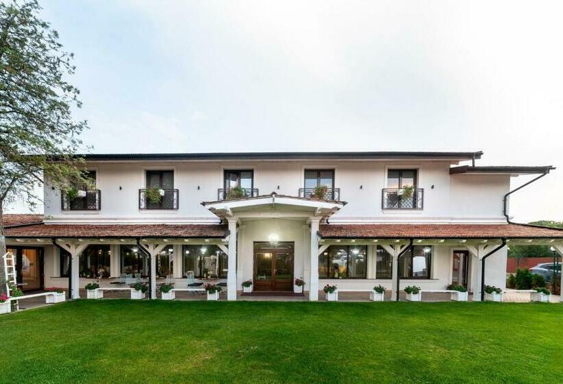 펜션 Hanul Lui Mihai