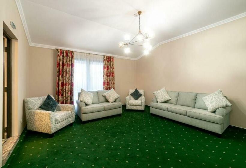 펜션 Hanul Lui Mihai