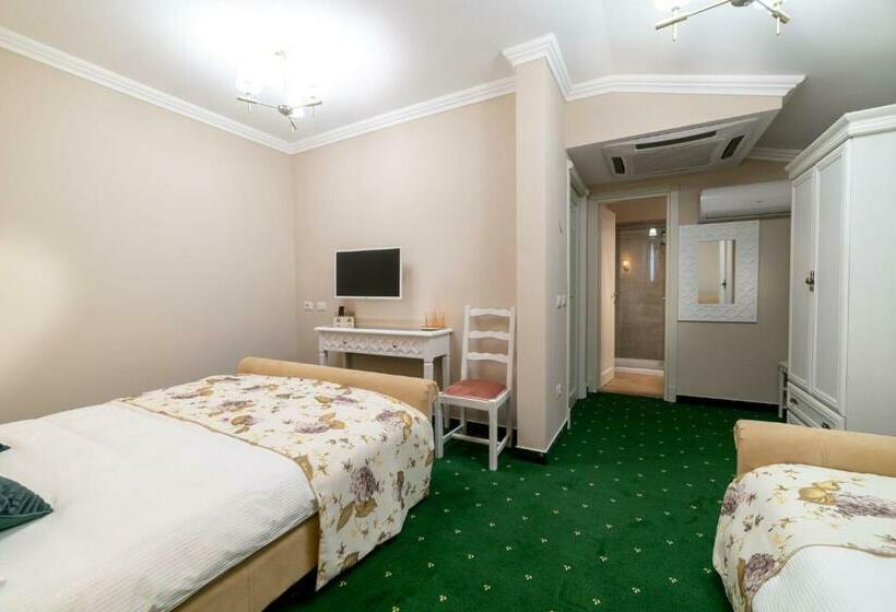 펜션 Hanul Lui Mihai