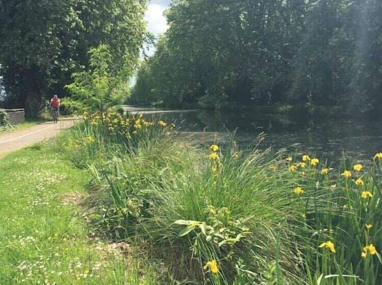 פנסיון La Maison Berry, Hébergement Avec Petit Déjeuner