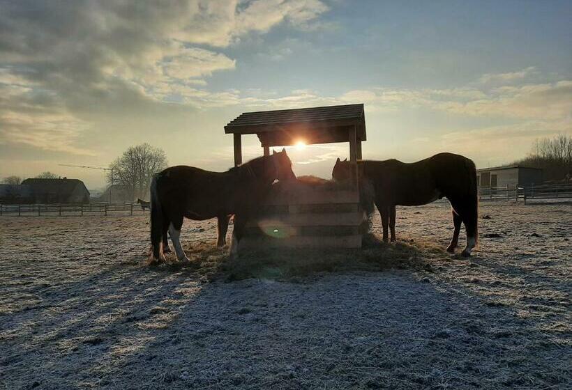 Пансион Lerchenberghof   Barrierefreies Familien Landhotel Mit Fewo, Fezi   Spielplatz Reiten Segway Pt Und
