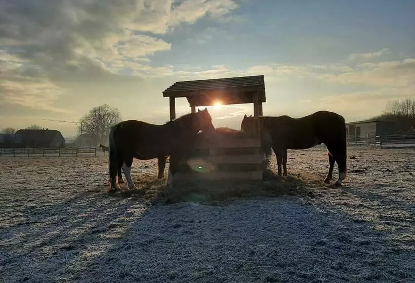 Majatalo Lerchenberghof   Barrierefreies Familien Landhotel Mit Fewo, Fezi   Spielplatz Reiten Segway Pt Und
