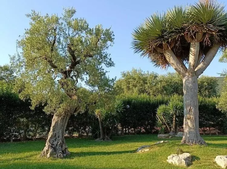 ペンション Masseria Galleppa   Rooms, Pool And Relax
