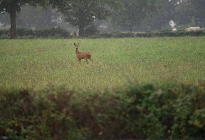 צימר Aux 3 Forêts