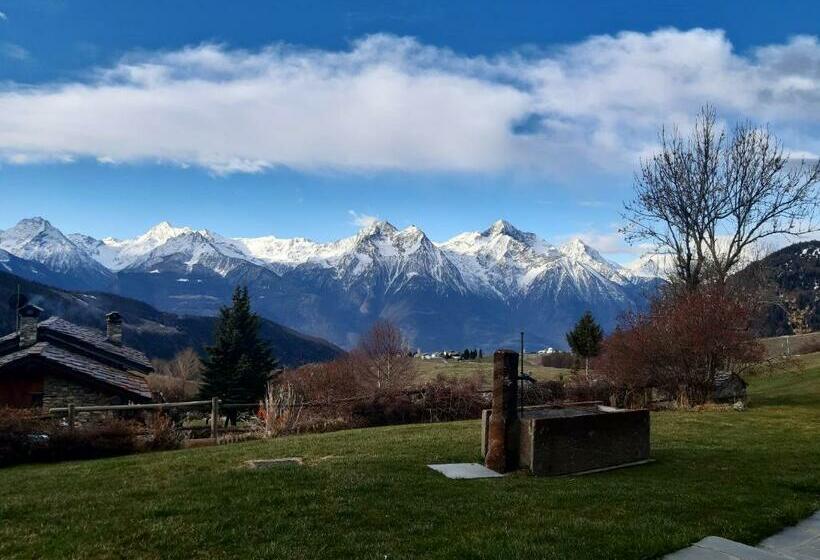 ベッドアンドブレックファースト Stop & Stare Stars