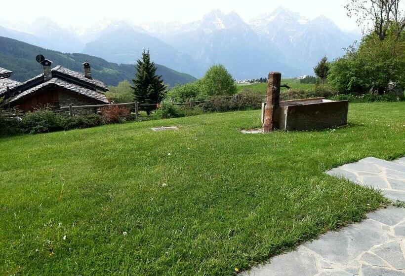 ベッドアンドブレックファースト Stop & Stare Stars