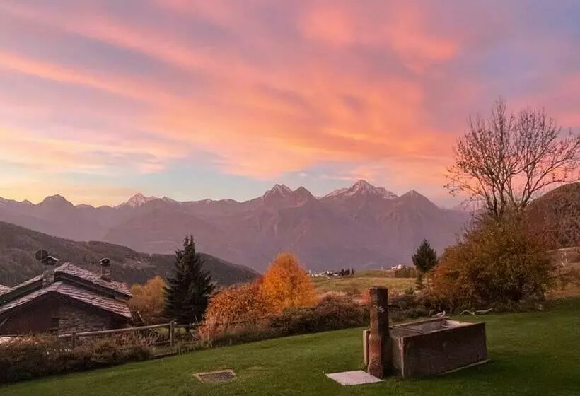 Aamiaismajoitus (B&B) Stop & Stare Stars