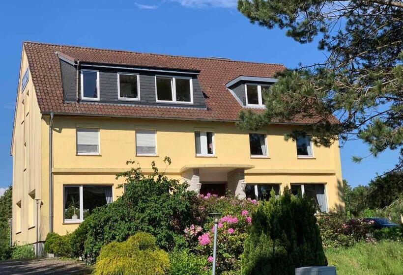 酒店 Gasthaus Afina