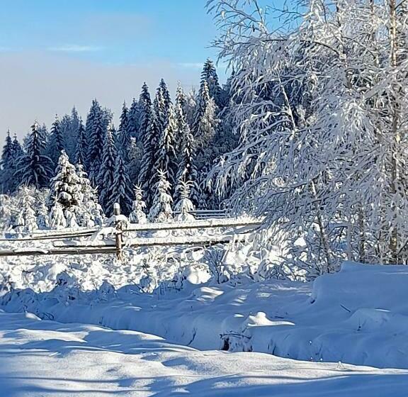 פנסיון Cabana Dor De Acas / Restaurant Dor De Acas