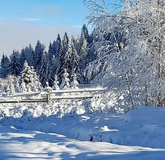 Majatalo Cabana Dor De Acas / Restaurant Dor De Acas