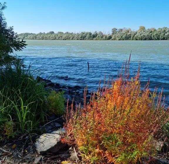 ペンション Talian