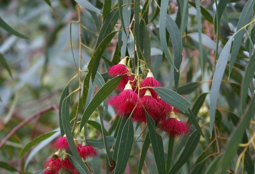 Ellensbrook Cottages