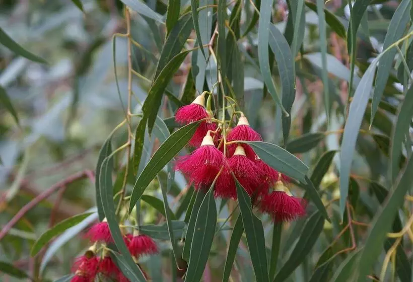 Ellensbrook Cottages