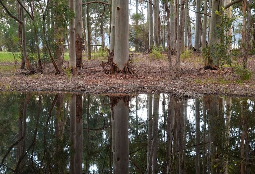 Ellensbrook Cottages