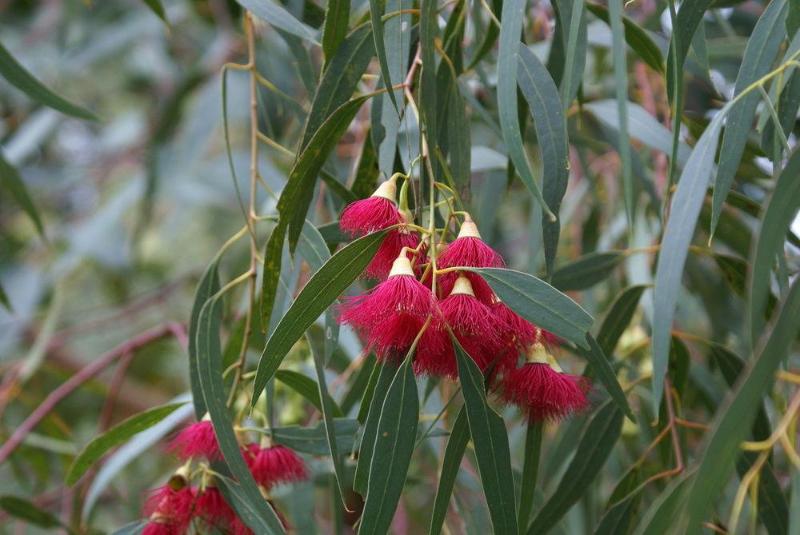 Ellensbrook Cottages