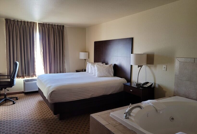 Отель Cobblestone Inn & Suites   Schuyler