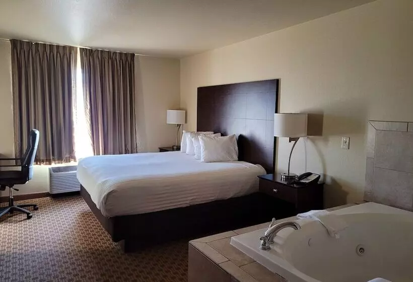 Отель Cobblestone Inn & Suites   Schuyler