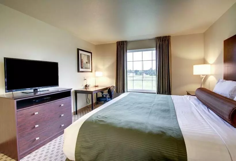 Отель Cobblestone Inn & Suites   Schuyler