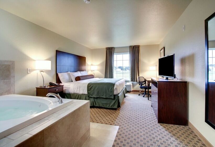 Отель Cobblestone Inn & Suites   Schuyler