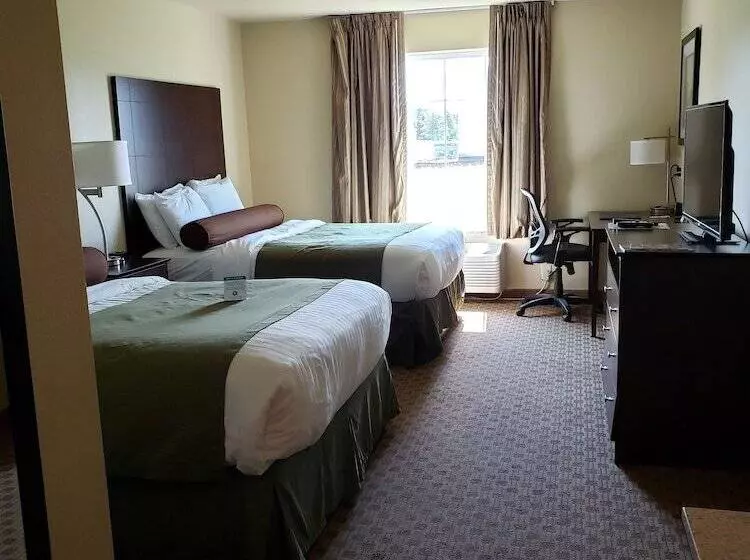 Отель Cobblestone Inn & Suites   Schuyler