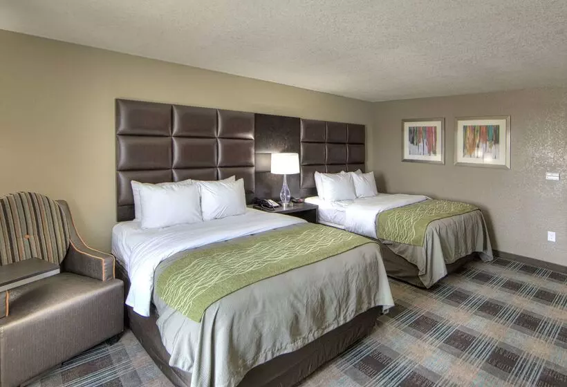ホテル Comfort Inn & Suites, White Settlement Fort Worth West, Tx