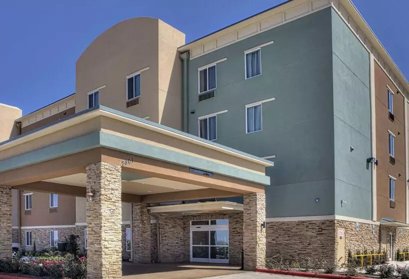 ホテル Comfort Inn & Suites, White Settlement Fort Worth West, Tx