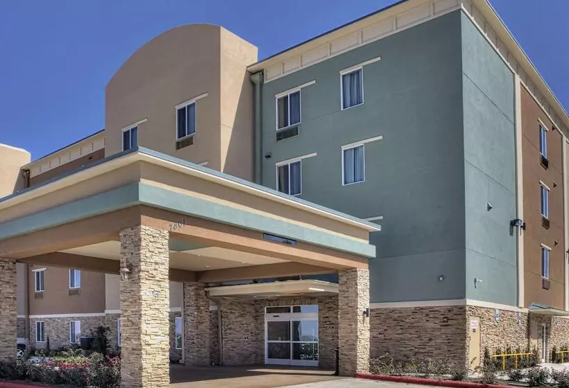 ホテル Comfort Inn & Suites, White Settlement Fort Worth West, Tx