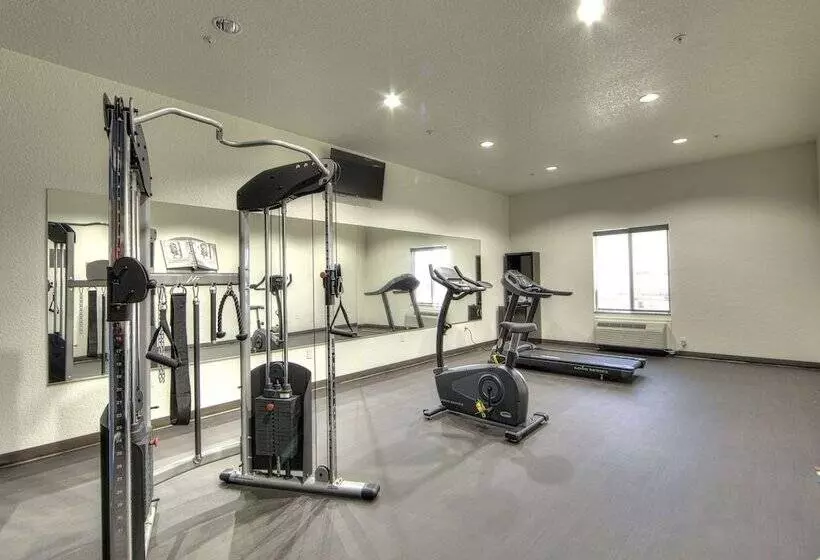 ホテル Comfort Inn & Suites, White Settlement Fort Worth West, Tx
