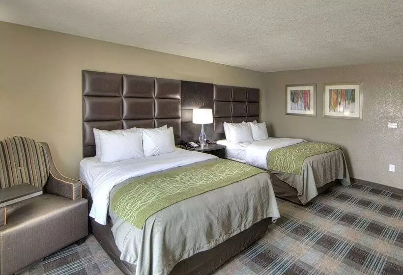 ホテル Comfort Inn & Suites, White Settlement Fort Worth West, Tx